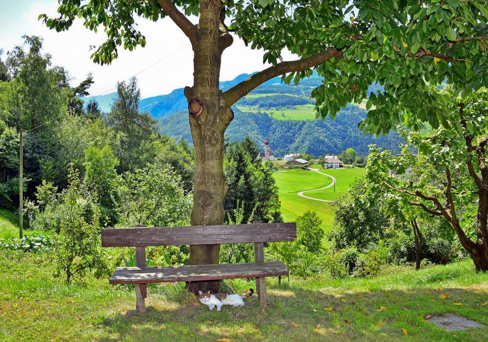 Bauernhofurlaub Kastelruth Südtirol