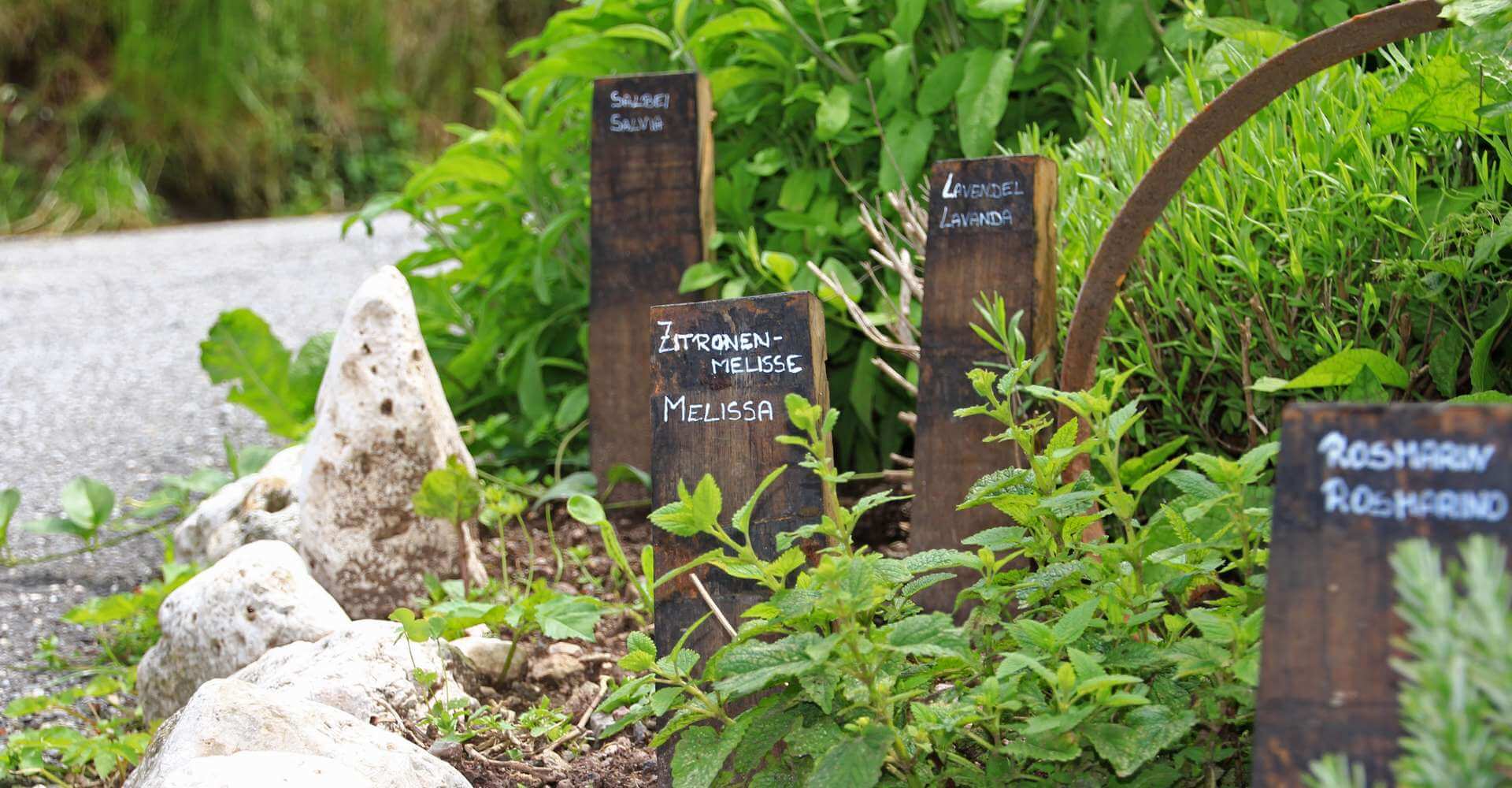 Bauernhof Frühstück - Hofeigene Produkte Kastelruth Südtirol