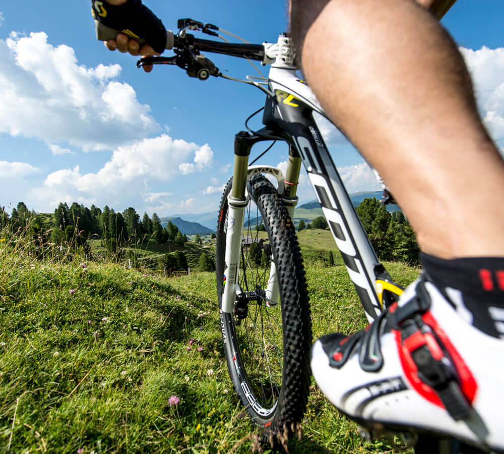 Siete appassionati di mountain bike?