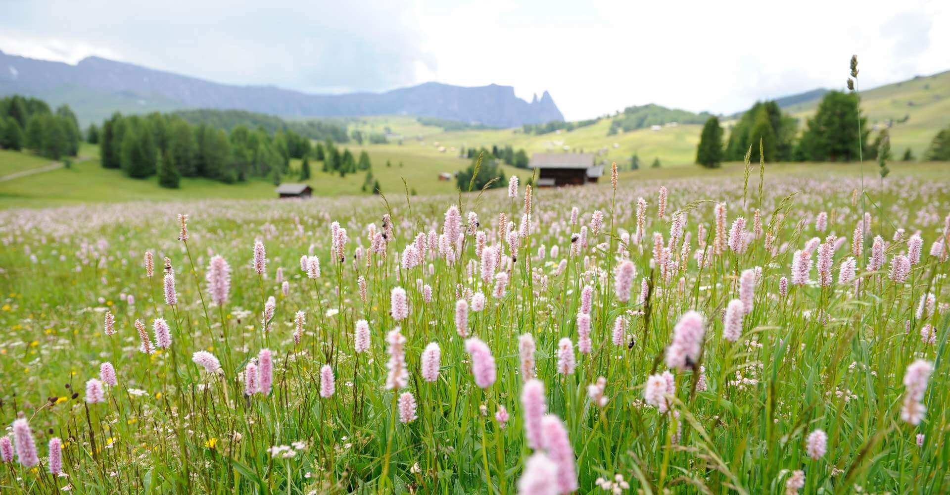 Urlaub in Kastelruth Südtirol